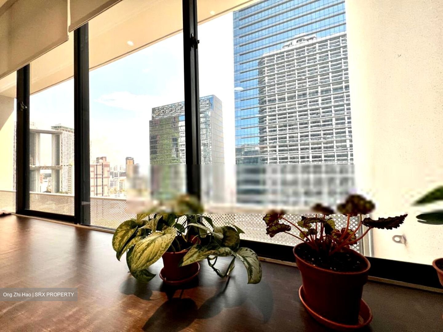 International Plaza (D2), Office #456816421